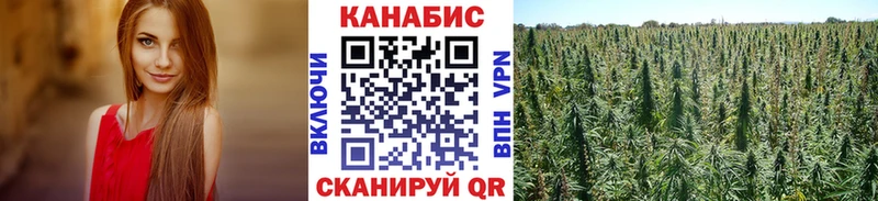 Купить закладку Камышлов Канабис APVP hydra tor Меф мяу мяу